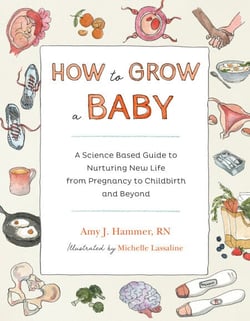 How to Grow a Baby - A Science-Based Guide to Nurturing New Life, from Pregnancy to Childbirth and Beyond