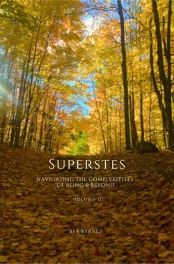 Superstes 2.0 - Navigating the Complexities of Being &amp; Beyond, #2