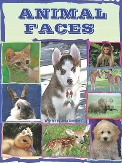 Animal Faces