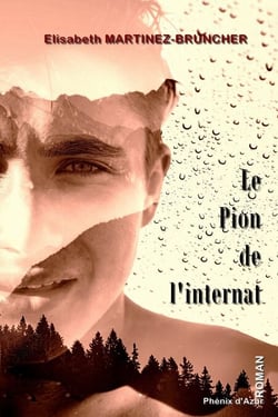 Le pion de l'internat - Roman