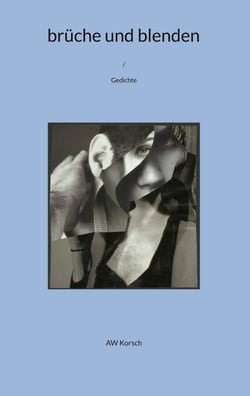 brüche und blenden - Gedichte