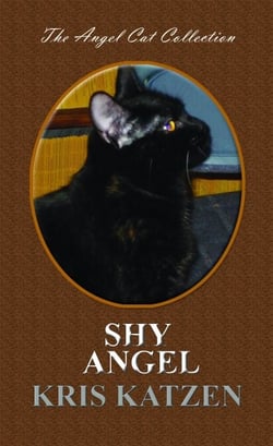 Shy Angel - Angel Cat Collection, #9