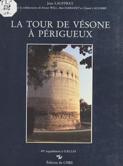 La tour de Vésone à Périgueux - Temple de Vesunna Petrucoriorum