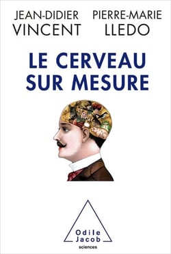 Le Cerveau sur mesure
