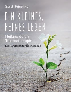 Ein kleines, feines Leben - Heilung durch Traumatherapie: Ein Handbuch für Überlebende