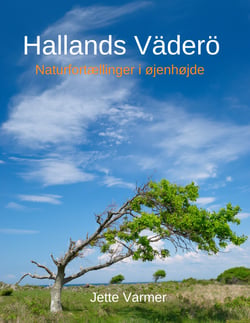 Hallands Väderö - Naturfortællinger i øjenhøjde