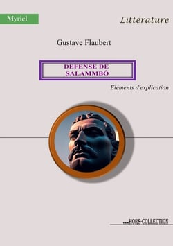 Défense de Salammbô - Éléments d'explication