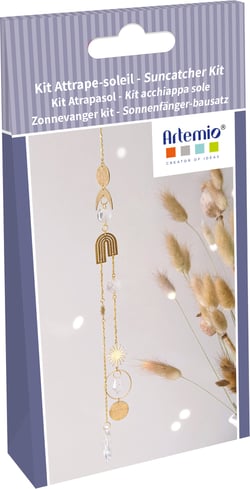Kit attrape-soleil 3 Artemio