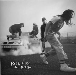Pull Like a Dog