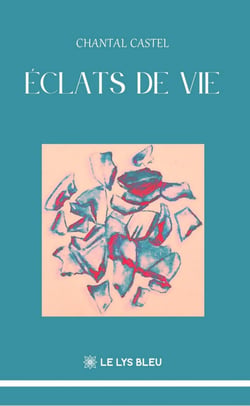 Éclats de vie : Journal poétique