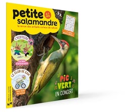 Petite salamandre n°65 : AVRIL 2026