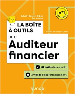 La boîte à outils : De l'auditeur financier (4e édition)