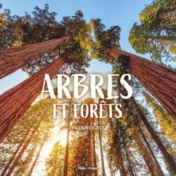 Calendrier mural : Arbres et Fôrets (édition 2027)
