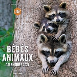 Calendrier mural : Bébés Animaux (édition 2027)