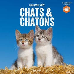 Calendrier mural : Chats et Chatons (édition 2027)