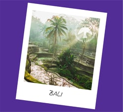 Encens Tierra Zen - Fragrance Memories Bali Rain