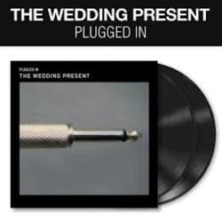 Plugged In