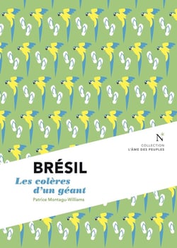Brésil : Les colères d'un géant
