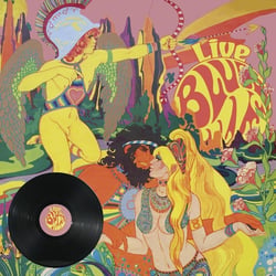 Live at Freak Valley Festival - édition gatefold