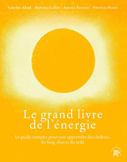 Le grand livre de l'énergie : Explorer, purifier et amplifier votre énergie intérieure