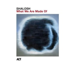 What We Are Made Of
