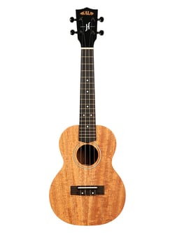 Kala James Hill Signature - Ukulele  avec housse - Concert