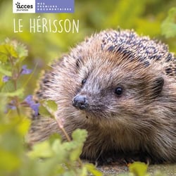 Le hérisson