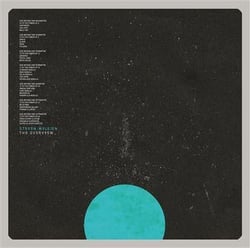 The Overview - Vinyle