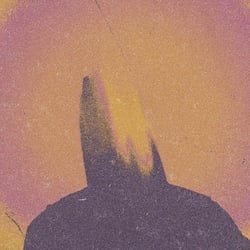 What Came From Silence