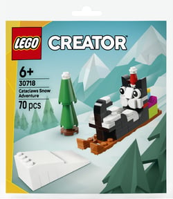 LEGO® 30718 - Les aventures dans la neige de Chapristi - LEGO® Creator™