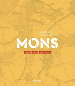 Histoire de la ville de Mons : Economie, société, santé publique