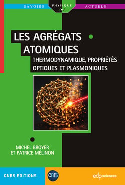 Les agrégats Tome 2 : Thermodynamique, propriétés optiques et plasmoniques