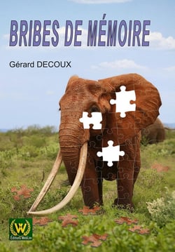 Bribes de mémoire