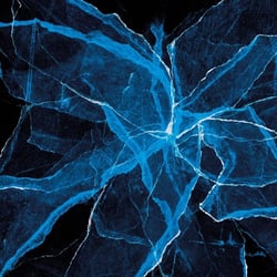 Shards