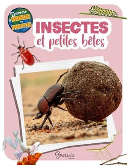 Découvre le monde en photos : Insectes et petites bêtes