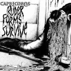 Ruder Forms Survive - édition limitée