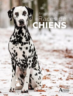 Encyclopédie visuelle : Races de chiens