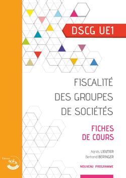 DSCG UE1- Fiscalité des groupes de sociétés- Fiches de cours