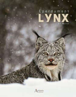 Éperdument Lynx