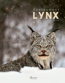 Éperdument Lynx