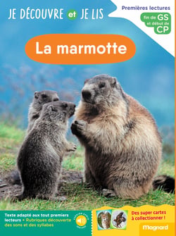 Je découvre et je lis : GS et CP : La marmotte - Fin de GS et début de CP