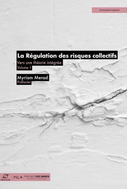 La Régulation des risques collectifs : Vers une théorie intégrée