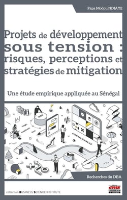 Projets de développement sous tension : risques, perceptions et stratégies de mitigation : Une étude empirique appliquée au Sénégal
