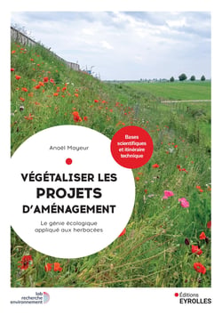 Végétaliser les projets d'aménagement : Le génie écologique appliqué aux herbacées