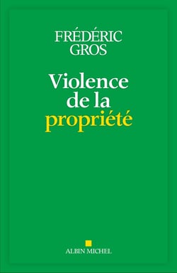 Violence de la propriété