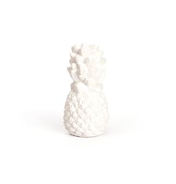 1 Plâtre Ananas