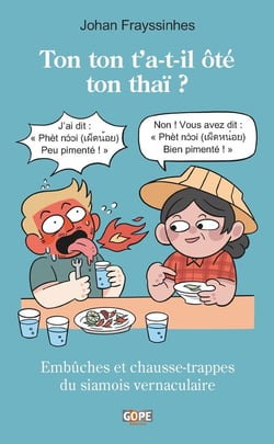 Ton ton t'a-t-il ôté ton thaï ? Embûches et chausse-trappes du siamois vernaculaire