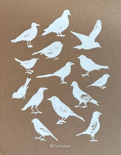 Carnet A4 Oiseaux - Zoé de Las Cases
