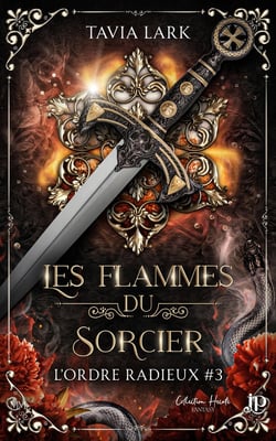 L'ordre radieux Tome 3 : Les flammes du sorcier