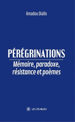 Pérégrinations : Mémoire, paradoxe, résistance et poèmes